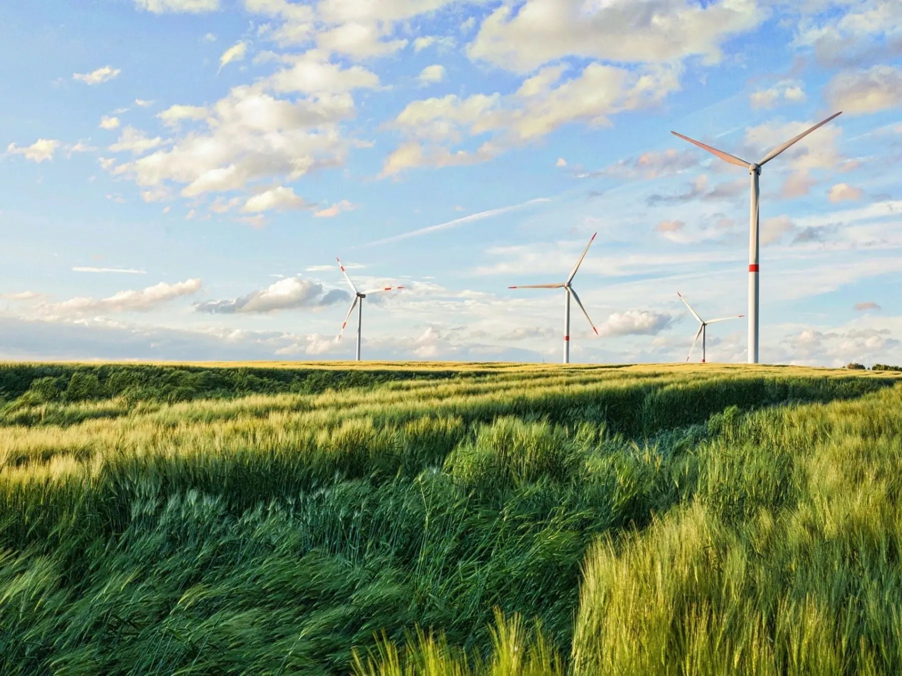 Purification de l'air - Contribuer au développement durable (French)