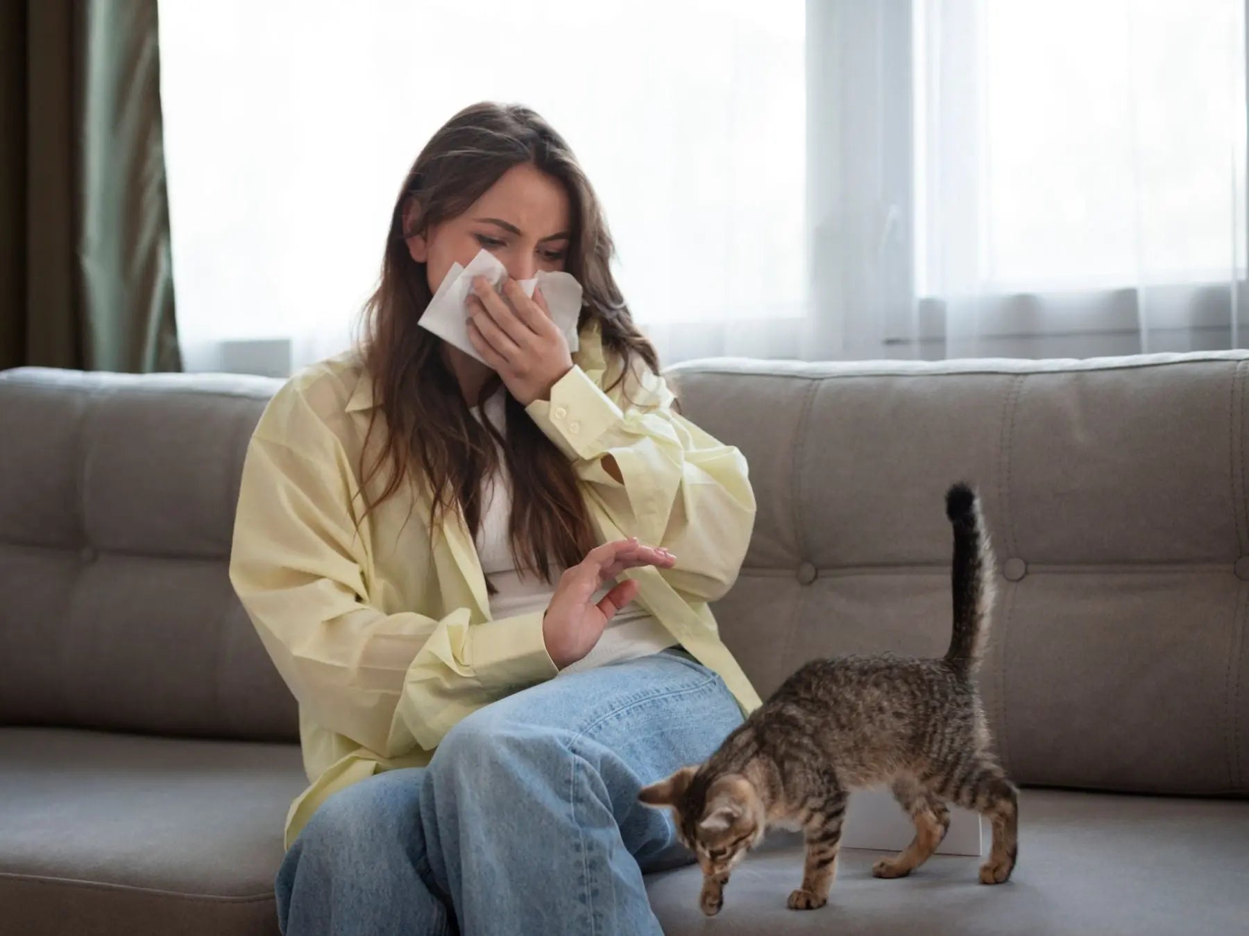 Allergies to cats: what treatment for these allergies?